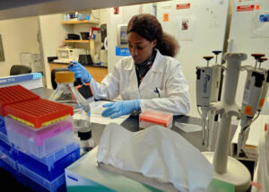 Francine B. Sado Yousseu, PhD, wearing laboratory personal protective equipment while pipetting reagents into a 96‑well plate for an ELISA assay.